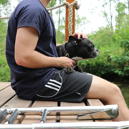 Hausboot Auf Dem Schweriner See Шверин